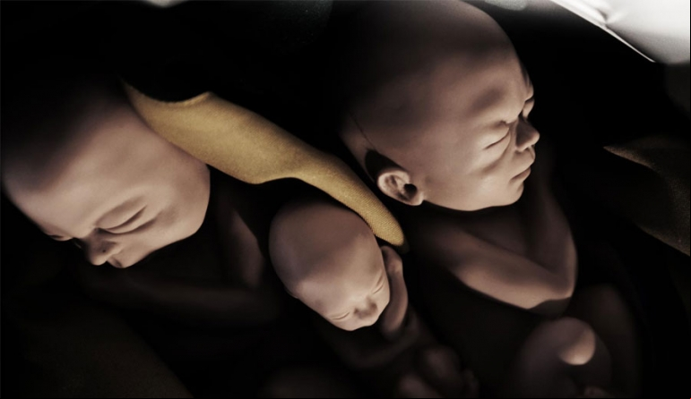 FALÁCIAS QUE GIRAM EM TORNO DA DESCRIMINALIZAÇÃO DO ABORTO